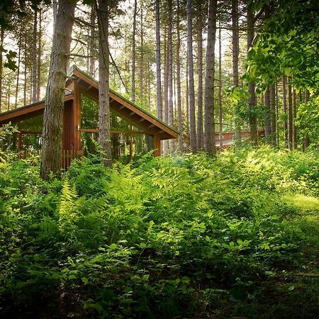 Blackwood Forest Cabins - Forest Holidays Popham Exterior foto