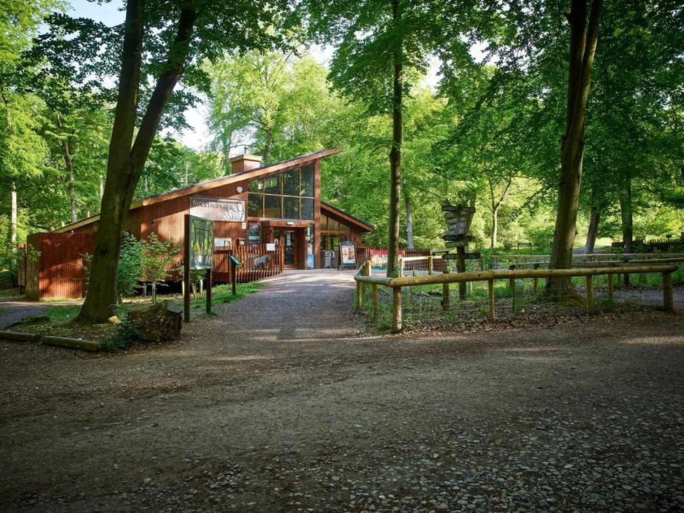Blackwood Forest Cabins - Forest Holidays Popham Exterior foto